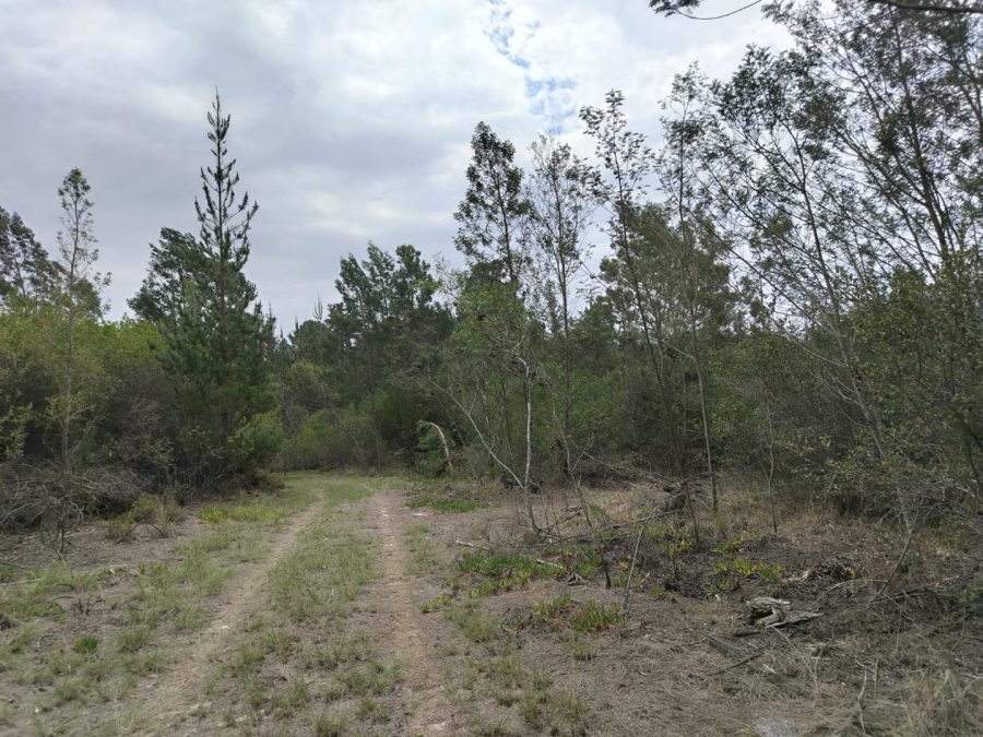 0 Bedroom Property for Sale in Sedgefield Central Western Cape